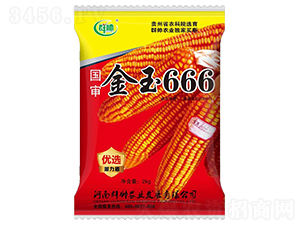 國審金玉666-玉米種子-群帥