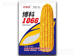 博科1066玉米種子-中博科-魯杰農業